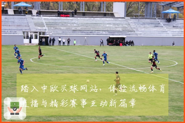 踏入中欧买球网站，体验流畅体育直播与精彩赛事互动新篇章