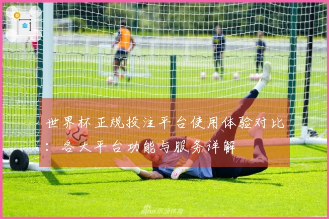 世界杯正规投注平台使用体验对比:各大平台功能与服务详解