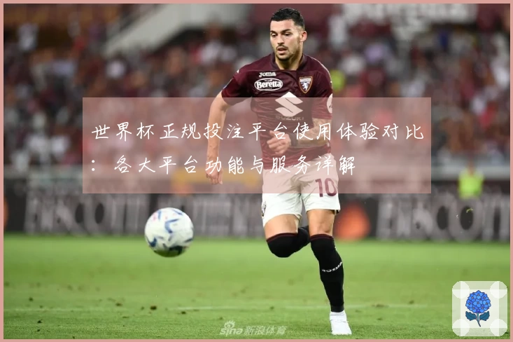世界杯正规投注平台使用体验对比：各大平台功能与服务详解